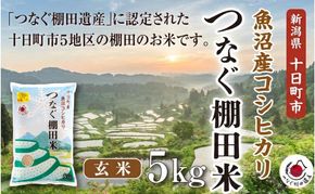 玄米5kg 令和7年産新潟県十日町市魚沼産コシヒカリ「つなぐ棚田米」 米 こしひかり 玄米 十日町市