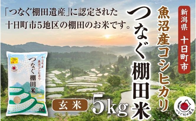 玄米5kg 令和7年産新潟県十日町市魚沼産コシヒカリ「つなぐ棚田米」 米 こしひかり 玄米 十日町市