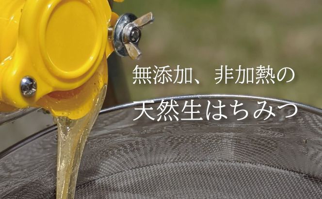 合計1200g 天然蜂蜜 国産蜂蜜 非加熱 生はちみつ 岐阜県 美濃市産 春 (蜂蜜300g入りピタッとボトル4本セット)A12 深田養蜂のハチミツ
