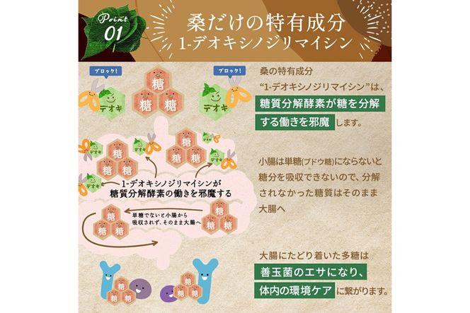 a933 さつま桑茶10袋セット【わくわく園】桑の葉 桑 桑茶 国産 高級品種 センシン