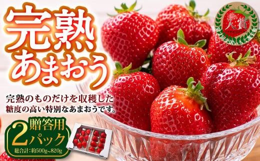 完熟あまおう 贈答用 約250g～410g×2パック 合計約500g～820g 【2025年1月上旬～3月上旬順次出荷予定】いちご 苺 イチゴ ベリー 果物 フルーツ お取り寄せ デザート おやつ