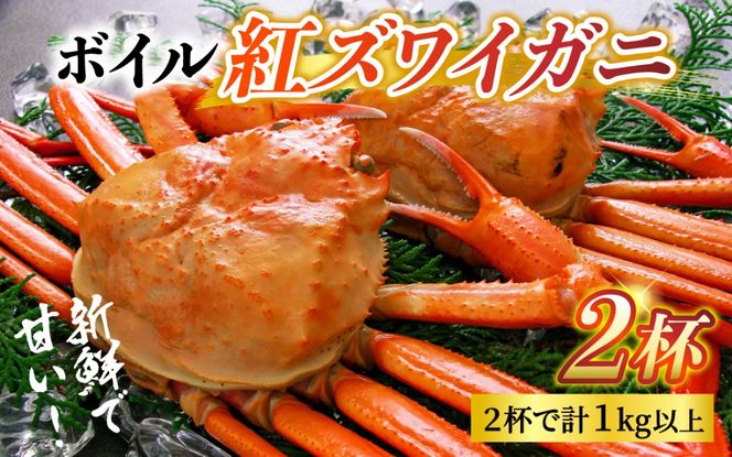 【冷凍】ボイル紅ズワイガニ 冷凍配送 カネツル砂子商店 2杯 1kg 　紅ズワイガニ カニ 急速冷凍 紅ずわい 北陸 ゆで 蟹 ずわい 茹で蟹 茹で ゆでがに ボイル 富山 滑川 [A-002014]