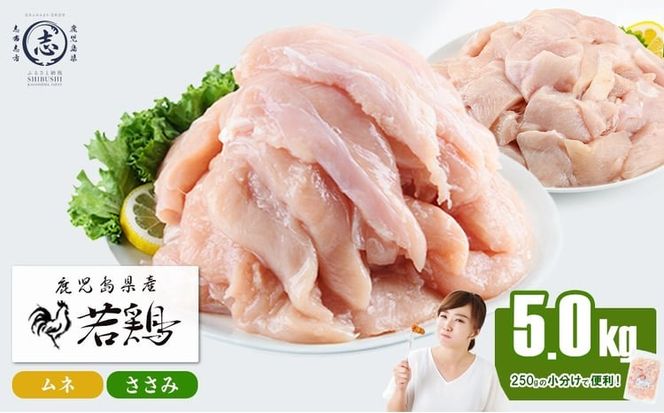 小分けで便利！鹿児島県産若鶏＜ムネ・ささみ＞セット 計5kg a5-371
