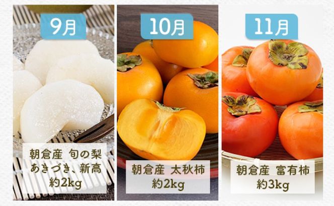 定期便 5ヶ月 果物 先行予約 シャインマスカット 梨 柿 果物 ※配送不可：離島