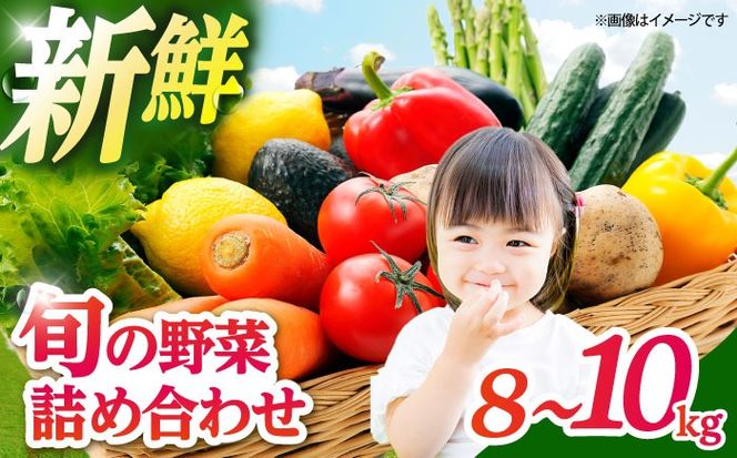 とくとく市場厳選 旬の野菜詰合せ セット 【有限会社FKMジャパンダイニング】 野菜BOX 旬 厳選 【配達不可：離島】[AEAE001]