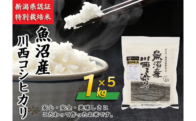 魚沼産川西こしひかり1kg×5