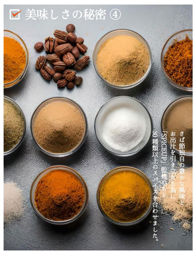 【きょうのおだし】さばだしキーマカレー 10食入［ 京都 削り節屋  おだしのプロ スパイスカレー 人気 おすすめ 和風カレー おいしい ギフト プレゼント お取り寄せ 通販 送料無料 ふるさと納税 ］ 261009_B-KD37