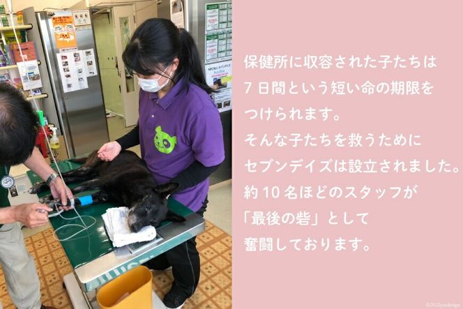 犬猫保護活動への支援 100万円分 [NPO法人セブンデイズ 福岡県 筑紫野市 21760892] 保護 動物 犬 猫 犬猫 保護犬 支援 応援 愛護