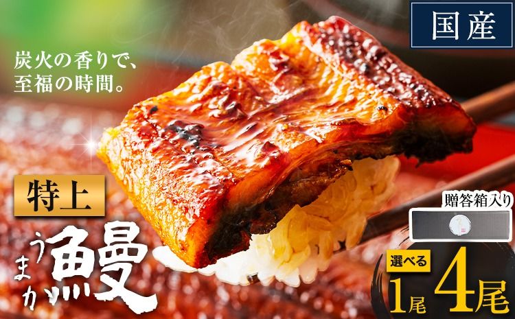 うなぎ 特上サイズ 選べる尾数 1尾 2尾 3尾 4尾 贈答箱入り 国産 ランキング 獲得 鰻 真空パック おすすめ うなぎの蒲焼 [30日以内に出荷予定(土日祝除く)] ふるさとのうぜい 特上 簡易包装 ウナギ unagi 蒲焼 秋 冬 旬 配送時期 冷凍 ---mifune_lcl_1141_1dai---