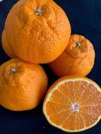 有田の不知火（しらぬい）24~18玉入り CC34