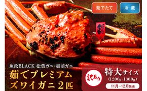 訳あり　【蟹の匠 魚政】茹で　プレミアムズワイガニ 魚政BLACK（松葉ガニ・越前ガニ） 特大サイズ（1200～1300g） 2匹セット　(11月～12月発送) UO01324