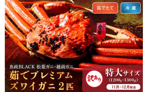 訳あり　【蟹の匠 魚政】茹で　プレミアムズワイガニ 魚政BLACK（松葉ガニ・越前ガニ） 特大サイズ（1200～1300g） 2匹セット　(11月～12月発送) UO01324