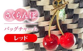 さくらんぼ バッグチャーム レッド アクセサリー ハンドメイド レジン 愛西市 / Momo’s 工房[AECR025]