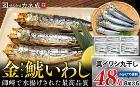 いわし 丸干し 48尾 ( 8尾 × 6 パック ) 干物 冷凍 小分け 愛知県 南知多町 ご飯 ごはん おかず おつまみ 魚 さかな 鰯 金鯱 イワシ 栄養 料理 カネ成 国産 人気 おすすめ
