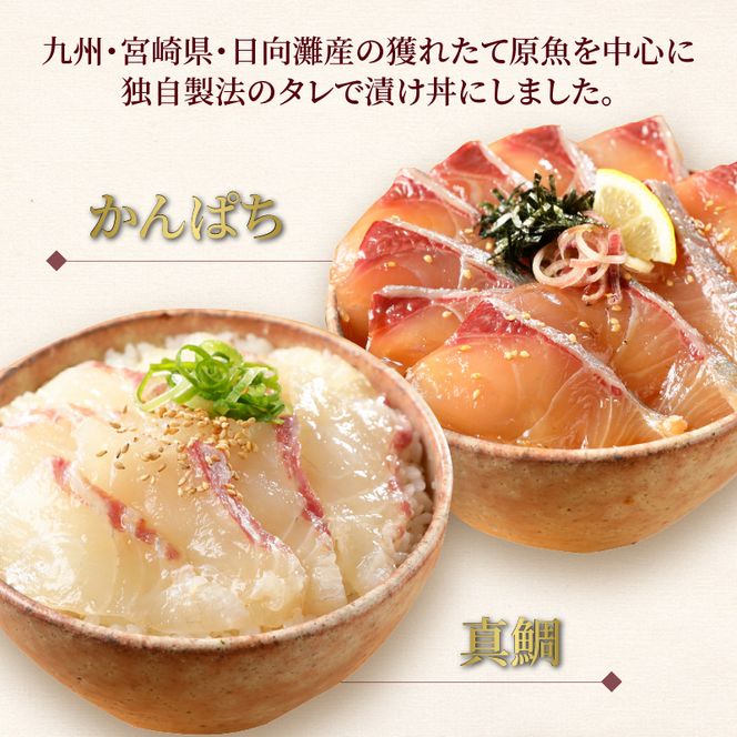 【冷凍】かんぱち・真鯛・近海マグロ・生アトランサーモンの漬け丼4種食べ比べセット110g×8袋 N019-YB332