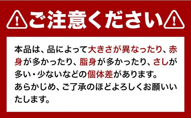 馬ひも 馬刺し用 320g(80g×4袋) 《7-14営業日以内に出荷予定(土日祝を除く)》 熊本県 玉東町 肉 馬ひも 馬肉---gkt_fjbhm_wx_24_23000_320g---