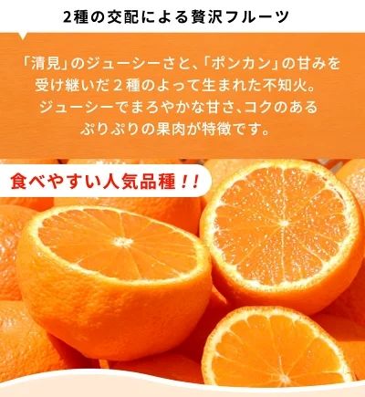 G7357_【2027年先行予約】紀州有田産 不知火 (しらぬい)【家庭用 訳あり】3kg デコポン フルーツ デザート 柑橘 果物 果実 みかん お取り寄せ 和歌山県 湯浅町 送料無料