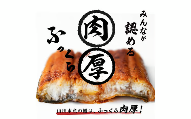 【志布志市人気No.1お礼の品】霧島湧水鰻の蒲焼き 140g以上×4尾＜計560g以上＞ a6-078