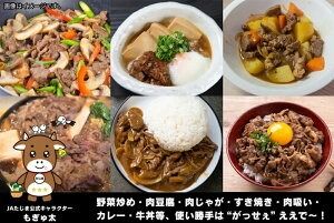 【ふるさと納税】但馬牛 がっせぇ盛り（切落し・1kg）250g×4パック 小分け 肉 牛肉 お肉 赤身 バラ バラ肉 ばら 国産 黒毛和牛 和牛 切落し 切り落とし お取り寄せ 冷凍 兵庫県 新温泉町 送料無料