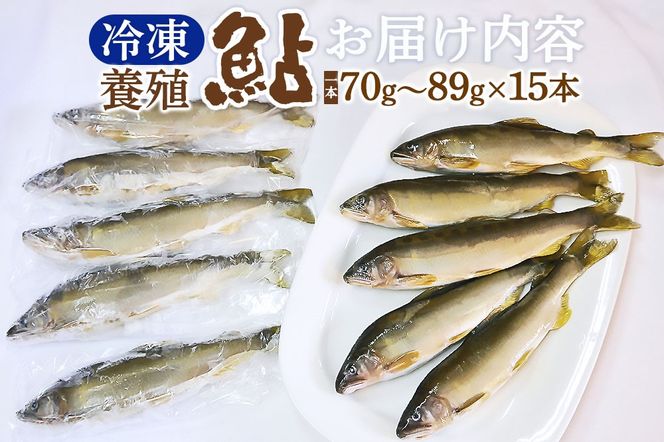 冷凍 鮎 15本 個包装【あゆ 小分け 魚 焼き魚 焼魚 川魚 バーベキューに】|arac-00010