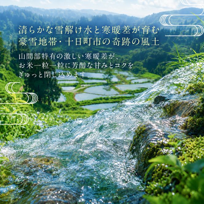 【令和8年産 先行予約】食味鑑定士厳選！魚沼産こしひかり ３０ｋｇ（５ｋｇ×６） 白米 安心 安全 こだわり 米 コシヒカリ 新潟県 十日町市