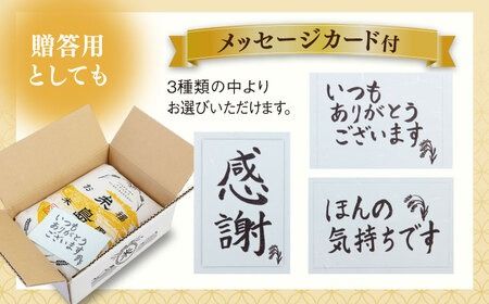 【全12回定期便】【こだわり精米】 糸島産 夢つくし 5kg 糸島市 / RCF 米 お米マイスター [AVM005]