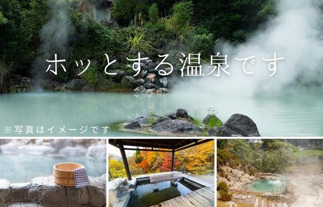 北海道ツアー 洞爺湖温泉 後から選べる旅行Webカタログで使える！ 旅行クーポン（60,000円分） 旅行券 宿泊券 飲食券 体験サービス券 北海道