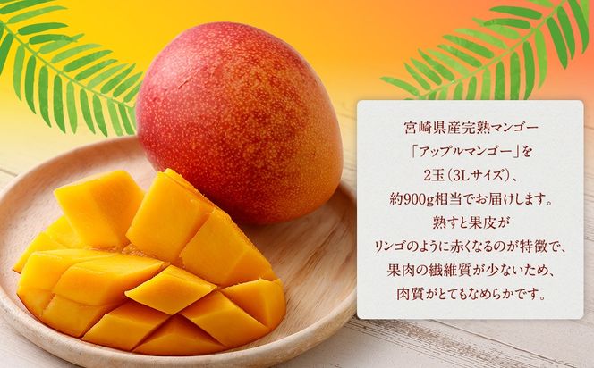 ＜宮崎県 完熟マンゴー3L×2玉 900g＞2025年4月上旬～7月中旬迄に順次出荷【c1164_hi_x1】