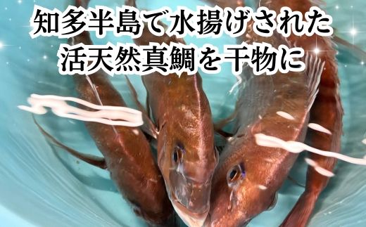 岬だよりの大人気 天然真鯛の干物　10枚セット