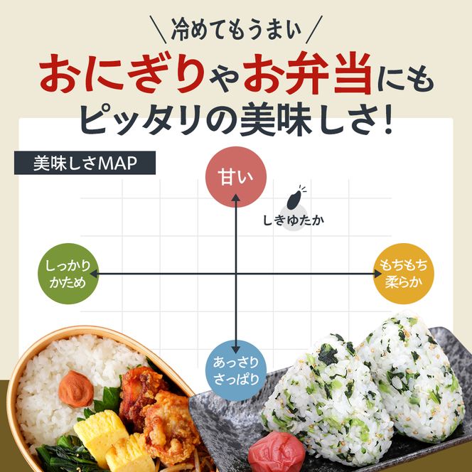 米 令和8年産 先行受付 しきゆたか 白米 5kg《2027年3月発送》 お米 精米 単一原料米 お弁当 おにぎり 冷めても美味しい 農業支援 就労者支援 日用品