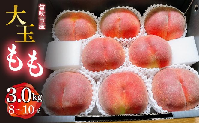 ＜25年発送先行予約＞笛吹市産　大玉もも　3.0kg(8～10玉) 227-009