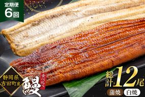 うなぎ 国産 静岡 うなぎ蒲焼 白焼 各130g 以上 各 1尾 計 2尾 6回 計12尾 タレ 山椒 付き [大井川うなぎ 静岡県 吉田町 22424764] 静岡県産 鰻 ウナギ ungai 蒲焼き うなぎ蒲焼き 鰻蒲焼 真空パック 冷凍 ◎