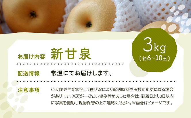 新甘泉梨 3kg箱(約6～10玉) 312011_BU005