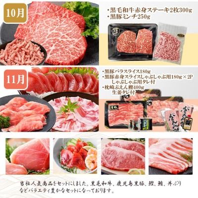 定期便8回配送　ぜいたく!!お楽しみ定期便　HH0-0001 【1505356】