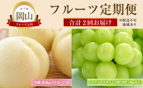 フルーツ 定期便 【2026年 先行予約】 晴れの国 おかやま の 白桃 2kg(5玉～7玉) シャインマスカット 2房 合計1.4kg以上 岡山県産 国産 セット ギフト