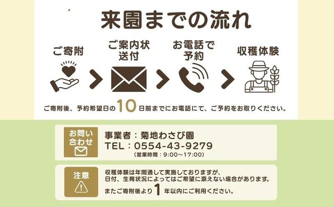 わさび収穫体験（わさびお土産付き） BZ003