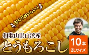 ［先行予約］しらはま農家 とうもろこし2Lサイズ10本 ［2026年6月発送予定］ 304018_DK07