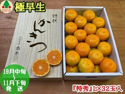 極早生 有田 みかん 化粧箱 特秀 L サイズ 32玉入 南泰園 和歌山 有田みかん BS602