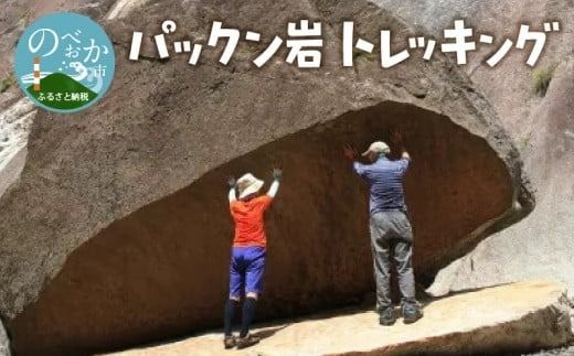 y{茧szpbNgbLO N002-YZC410