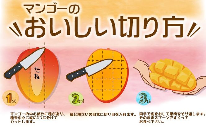 【2025年発送】生産者応援！！訳ありだが美味しい完熟アップルマンゴー2kg以上　農園直送！ 訳アリ 先行予約 沖縄 甘味 糖度 濃厚 美味しい 自分用 おいしい ふるさと納税 とろける甘さ 香り アーウィン 果汁 送料無料 箱入り トロピカル フードロス わけあり ２キロ