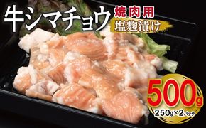 G3450 牛シマチョウ 焼肉用 塩麹漬け 500g【味付け 小分け 250g×2P 焼くだけ 簡単調理 BBQ 牛肉 ホルモン お試し】