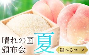 晴れの国頒布会 夏 選べる お届けコース 無洗米 5kg 10kg 20kg 白桃 1kg 1.3kg 2kg 《ページ内記載の時期に発送》岡山県 笠岡市 フルーツ 旬 果物 桃 コメ お取り寄せ---kasaoka_zsytei_364_s1---