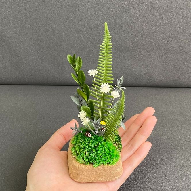 プリザーブドフラワー　トリル　春日部市　シュガーパイン(AJ247)