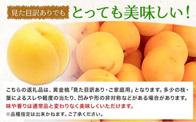 【令和7年度先行予約】桃 黄金桃 ご家庭用 選べる内容量 1.4kg (4～6玉) 2kg (5～8玉) フルーツファーム岡山《2025年8月中旬-9月下旬頃出荷》岡山県 浅口市 送料無料 フルーツ モモ 果物 青果 旬 国産 岡山県産【配送不可地域あり】---124_c761_8c9g_24_12000_14---