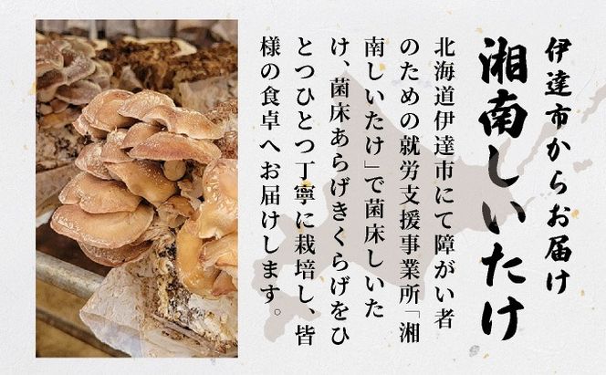 湘南しいたけ 乾燥 しいたけ 乾燥 きくらげ 乾物 しいたけ シイタケ 椎茸 キクラゲ 木耳 乾燥 出汁 旨味 保存食 国産 スーパーフード サラダ スープ アレンジ料理 ヘルシー 北海道 伊達市【農福連携】