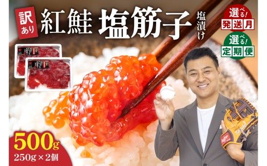 すじこ〈9月配送〉訳あり 紅鮭塩筋子500g (250g×2個入）加藤水産 ひとくちカット すじこ 魚卵 海鮮 おかず おにぎりの具 贈答 ギフト 人気 留萌市 R002-005-09