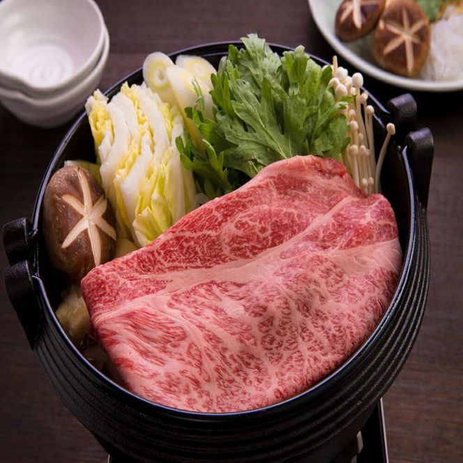 【武尊セレクト鳥取和牛 レジェンドセット】牛もも・ロース 約400g 312011_CV016