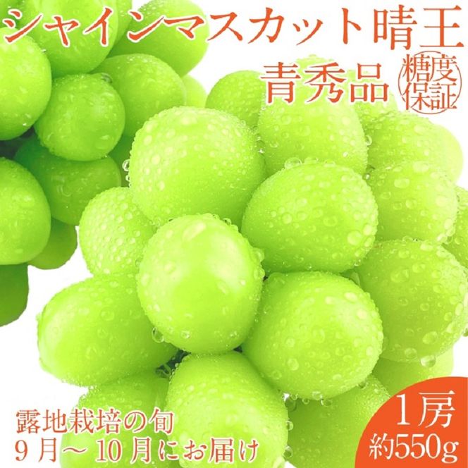 2026年 先行予約シャインマスカット 晴王 1房約550g 9月～10月出荷/ 岡山県産 種無し 皮ごと食べる みずみずしい フレッシュ 晴れの国 おかやま　 果物大国 彩美菜果