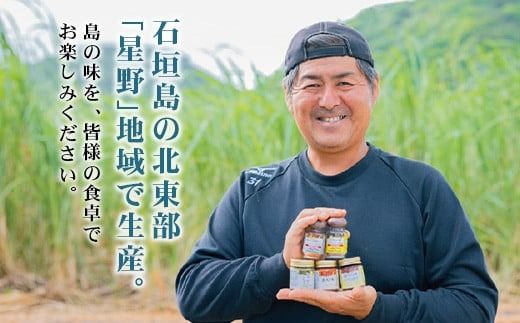 UY-1 石垣島海のもの山のものスパイス&オリジナル詰め合わせセットA