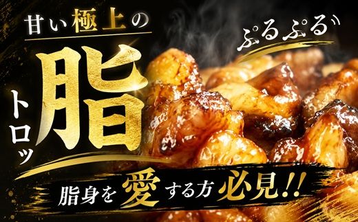 松阪牛 トロトロホルモン 1.2kg 【脂の苦手な方はご遠慮ください】 ( 牛肉 ブランド牛 高級 和牛 国産牛 松阪牛 松坂牛 焼肉 焼き肉 ホルモン ホルモン肉 味付きホルモン 味付き肉 ほるもん 焼肉用 定番 牛肉 松阪牛 焼肉 三重県 松阪市 ) 【000242】
